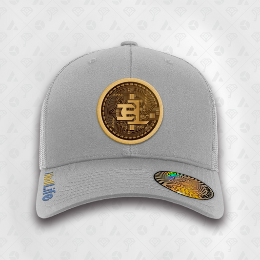 Grey, Coin Curved Brim Smart Hat