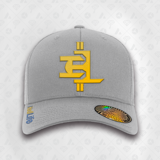 Grey, IHL Curved Brim Smart Hat