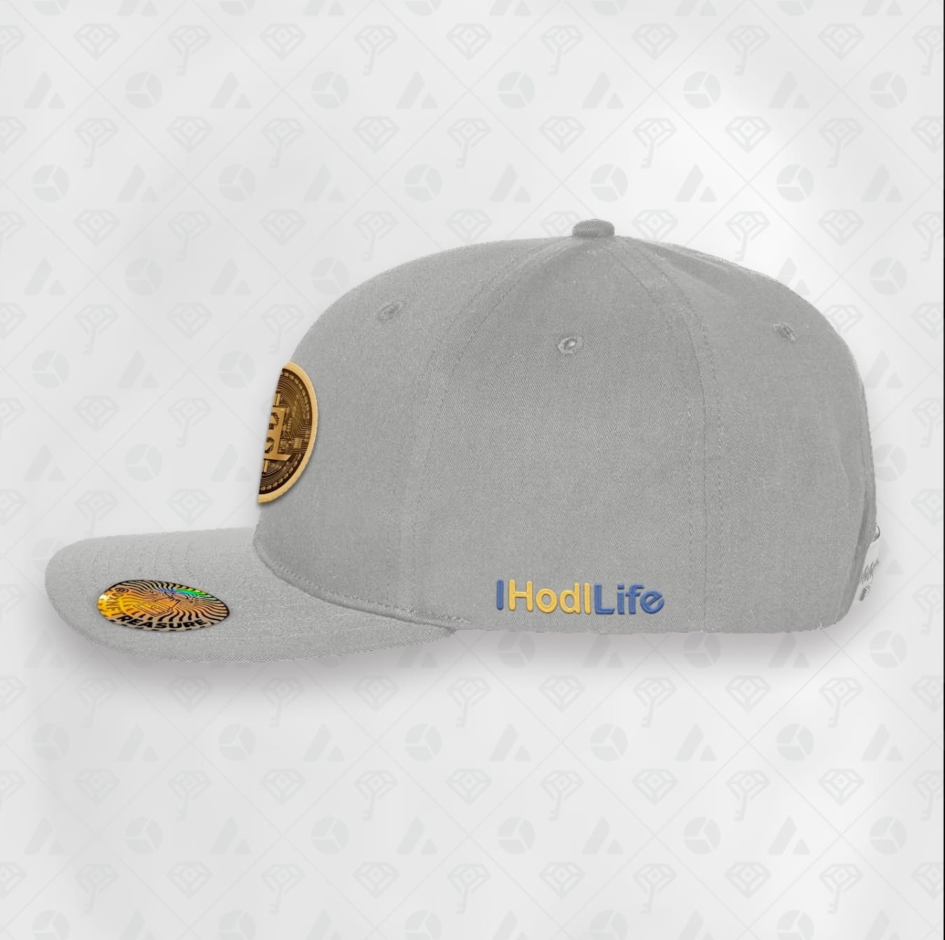 Grey, Coin Flat Brim Smart Hat