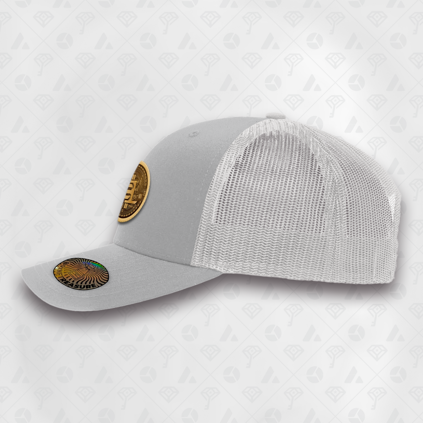 Grey, Coin Curved Brim Smart Hat